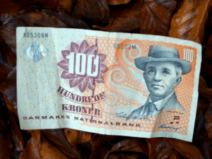 Unlock Your Danish Dream Home