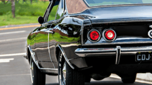 Top Apps for License Plate Checks