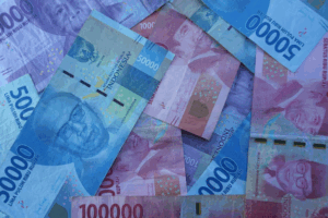 Unlock Indonesia's Financial Potential